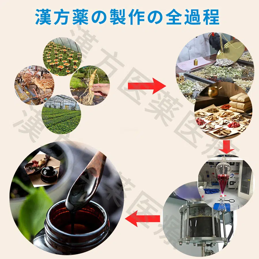 zhizuo.webp